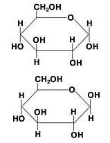  : Структурная формула глюкозы : 